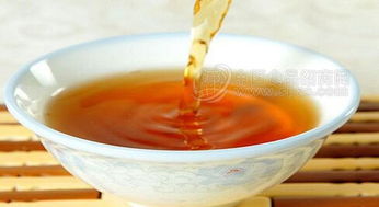 小米釀批發(fā)與招商指南 廠家直供、價(jià)格趨勢與酒類市場機(jī)遇